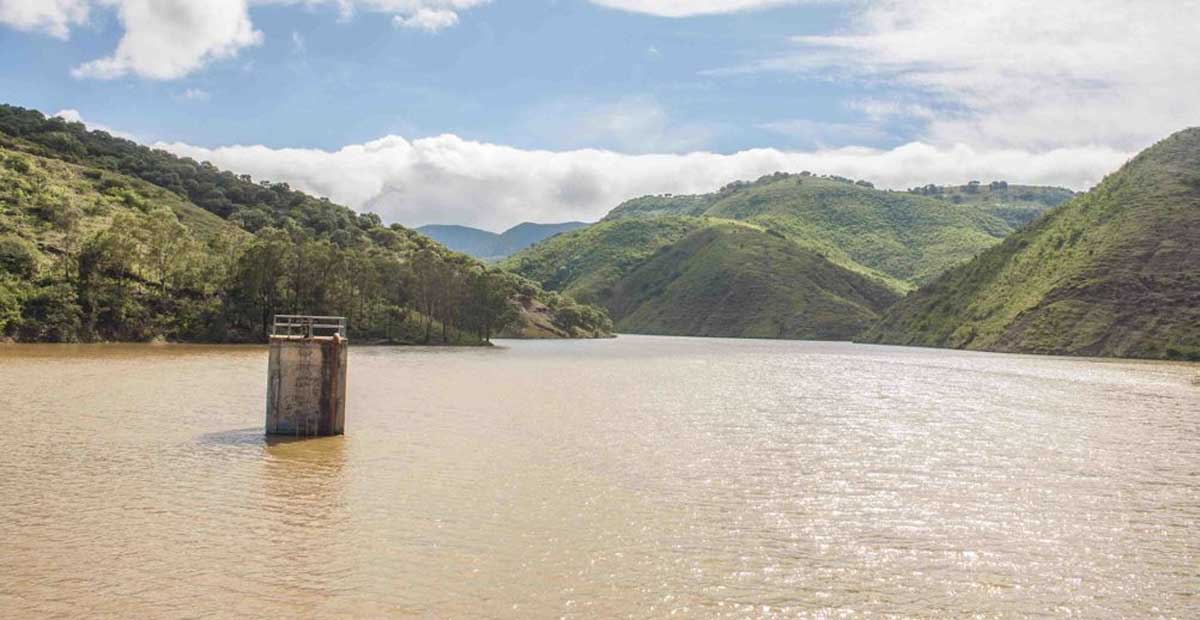 Guanajuato Espera Simapag Que Lluvias Suban Niveles De Agua En Presas