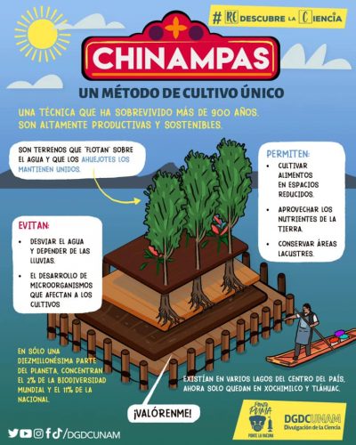 Chinampas Un M Todo De Cultivo Nico Dgdcunam Agua Org Mx