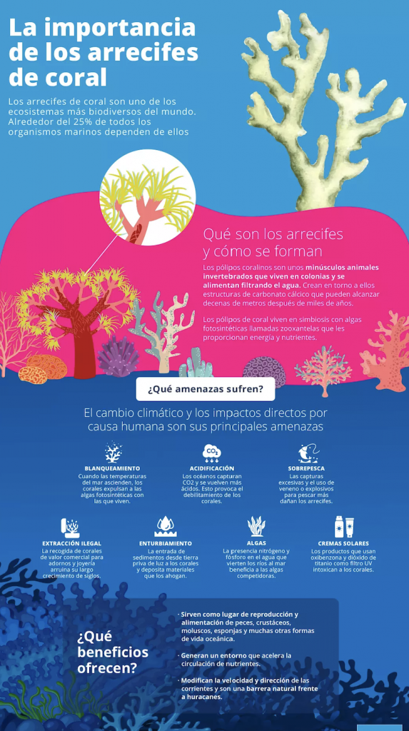 La Importancia De Los Arrecifes AQUAE Agua Org Mx