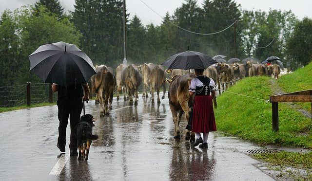 Está Suiza en alerta por lluvias