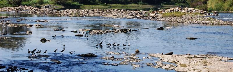 Derrame de petróleo en el Río Cazones, deja sin agua potable a 50,000 habitantes – Agua.org.mx