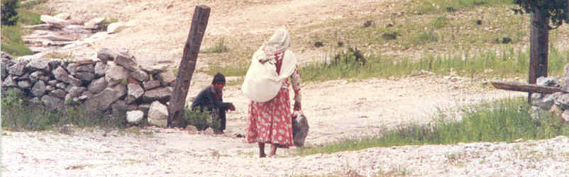 Estragos de la Sequía y el frío al norte de México