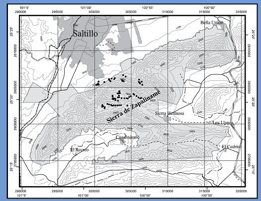 Composición y aspectos estructurales de los bosques de encino de la sierra de Zapalinamé. Coahuila, México