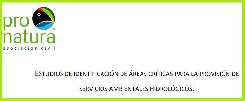 ESTUDIOS DE IDENTIFICACIÓN DE ÁREAS CRÍTICAS PARA LA PROVISIÓN DE SERVICIOS AMBIENTALES HIDROLÓGICOS