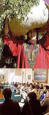 indicadores_de_genero