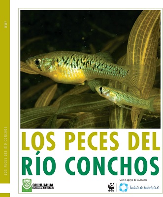 rio conchos-peces