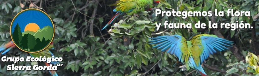 Proyecto turístico mexicano ganador del Concurso Internacional de Turismo Socialmente Responsable de la ITB en Berlín, Alemania