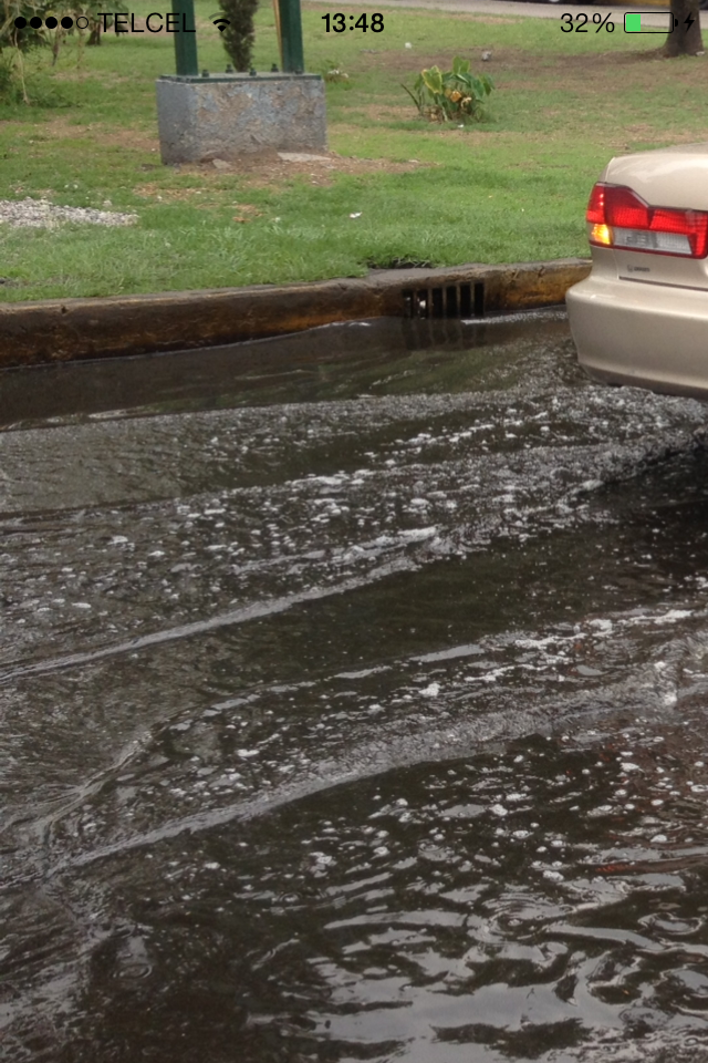Coladera azolvada permanentemente en el DF