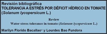 Tolerancia a estrés por déficit hídrico en tomate (Solanum lycopersicum L.)