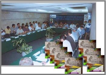 Programa para la recuperación ambiental de la Península de Yucatán, primera etapa.