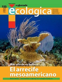 La_Jornada_Ecologica__Arrecife_Mesoamericano