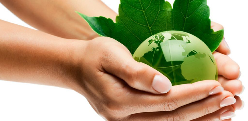 ¿Qué es el desarrollo sustentable?