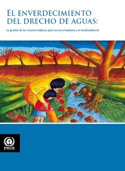 El_enverdecimiento_del_derecho_de_aguas