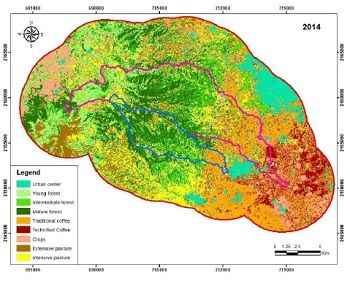 El pago de servicios ambientales como mecanismo para la conservación de la cobertura forestal
