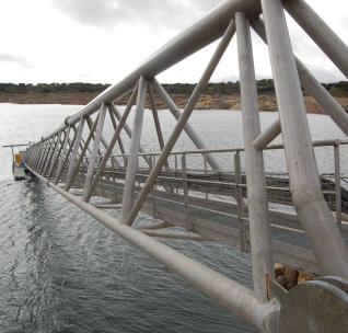Sayagua prohíbe el consumo de agua en los 18 pueblos de la Mancomunidad