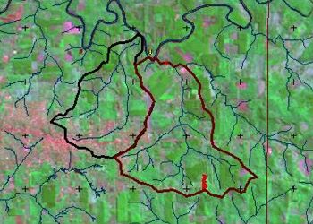 Diagnóstico de la cuenca del arroyo Faubel para determinar la factibilidad del ordenamiento territorial para mejorar el agua de la ciudad de Eldorado