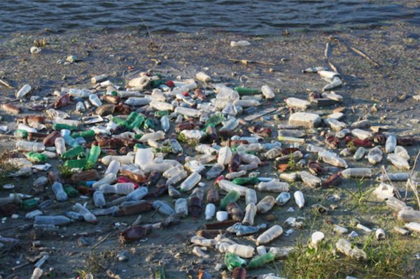 Contaminacion Del Agua Reto A Vencer Para Morelia Agua Org Mx