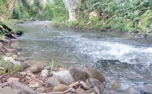 Estado de México: Temen por agua envenenada en manantiales (Excelsior)
