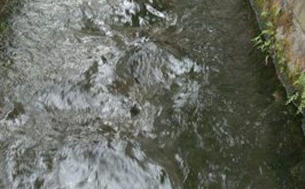 Tamaulipas: Limpian drenes y canales en Ciudad Madero (Milenio)