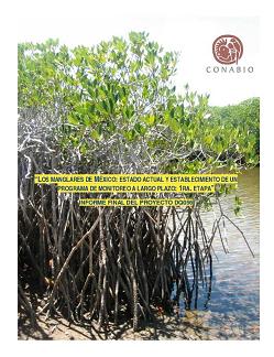 Los manglares de México: estado actual y establecimiento de un programa de monitoreo a largo plazo: 1ra. etapa