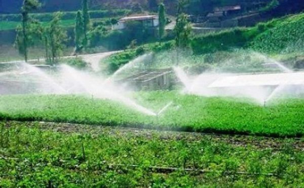 México: Derecho Humano al agua ¿protege sólo para uso doméstico? (El Vigía)