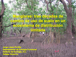 Manglares: tres décadas de cambio de uso de suelo en un ecosistema de distribución limitada