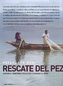 Pátzcuaro hoy: Rescate del pez blanco