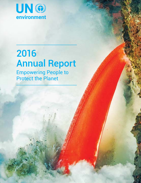 PNUMA Reporte anual 2016