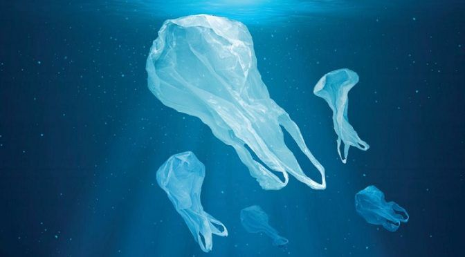 Mundo: Día Internacional sin bolsas de plástico (Econoticias.com)