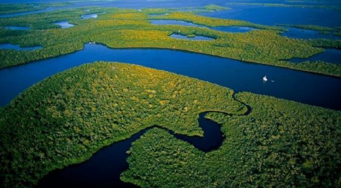 Mundo: Los ríos a nivel del planeta tienen más volumen de lo que se pensaba (Ecoticias)