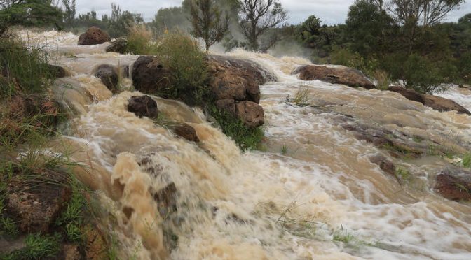 Durango: Son 4 las presas que ya no pueden retener más agua (El Siglo de Durango)