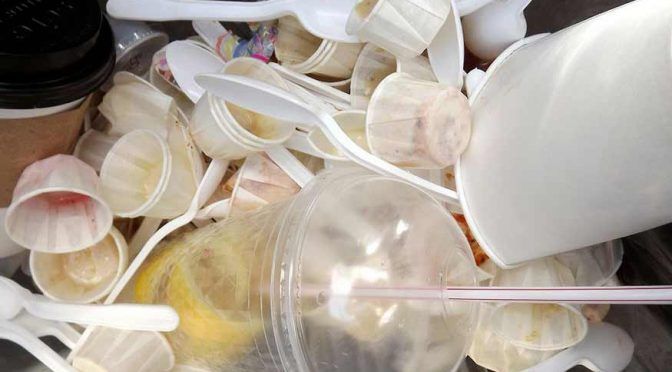 Popotes, cubiertos y otros plásticos desechables ya no serán vendidos en Europa (El Dictamen)