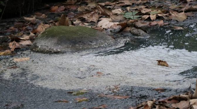 Veracruz: Grave la contaminación en arroyo Las Cascadas (El Sol de Orizaba)