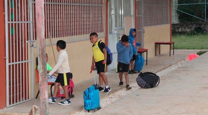 Afecta descenso de temperatura a comunidades mayas de Carrillo Puerto (Palco Quintanarroense)
