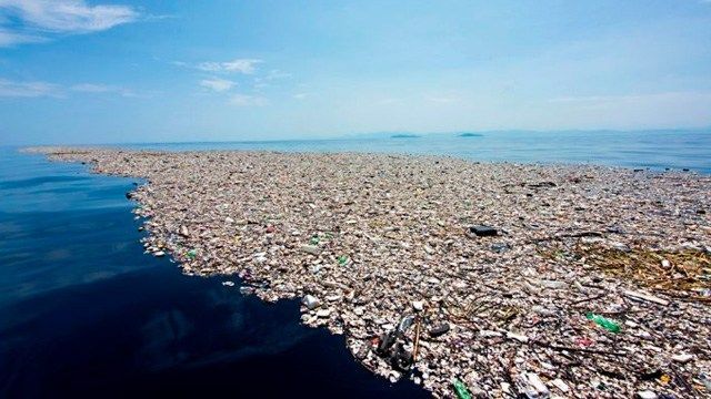 Plástico en el mar ha ocasionado la extinción de 660 especies a lo largo de 20 años (MiMorelia)