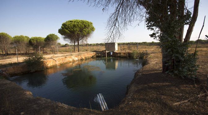 Bruselas denuncia a España por la inacción ante el robo de agua en Doñana (El País)