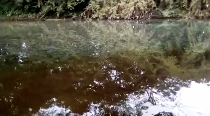 Asegura juguera no contaminar río Huichihuayán (Quadrantín)