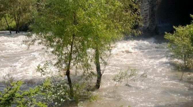Busca investigador conservación de río El Pueblito (Quadrantín)
