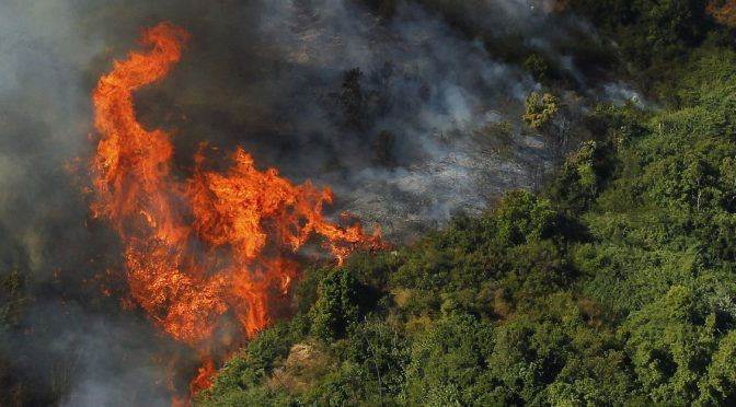 Diez mil personas sin agua potable a causa de los incendios forestales en La Araucanía (Coorporativa)