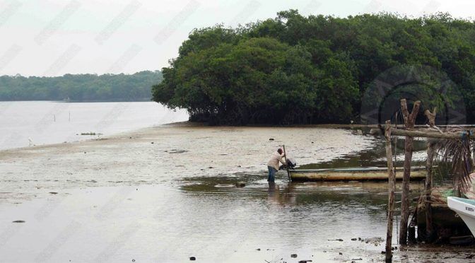 Veracruz: Pescadores se rinden ante contaminación y burocracia (Presencia)