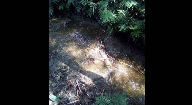 Segam, Sedarh y CEA investigan contaminación en el río Huichihuayán (La Jornada San Luis)