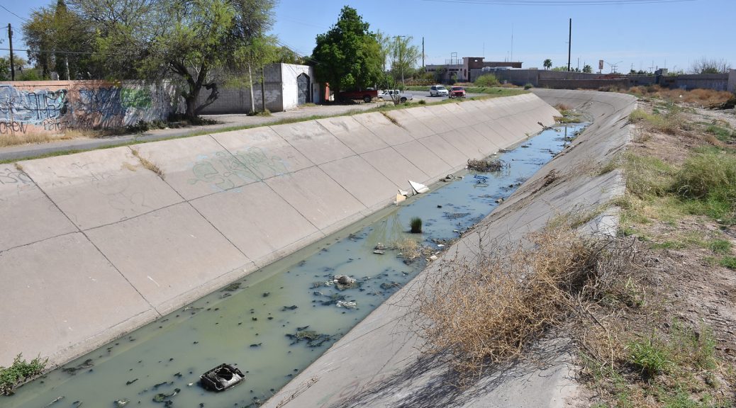 torreón Página 6 de 8