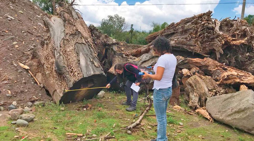 daños ambientales – Agua.org.mx
