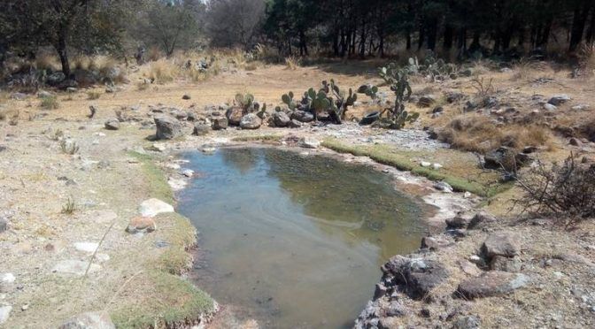 Hidalgo: La presa El Salado, se seca (El Sol de Tulancingo)