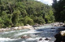 Coahuila-Fondo de Agua de La Laguna A.C. presenta: Proteger la Cuenca Alta del Nazas: una hoja de ruta (Telediario)