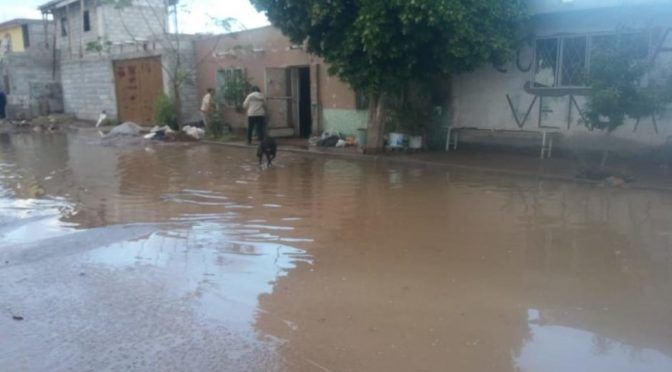Coahuila: Se desborda canal de riego en ejido de Torreón (Vanguardia)