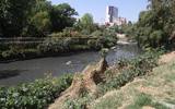 Puebla: Atoyac, el río del cáncer (El Sol de Puebla)