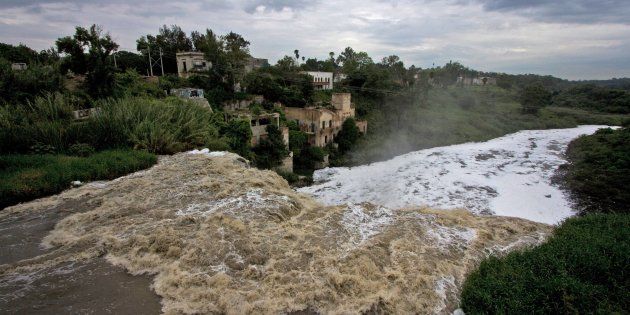 Jalisco: Los dueños del río (Reporte Indigo)