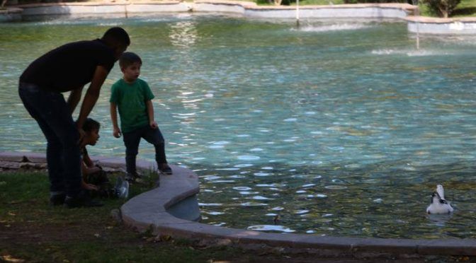 San Luis Potosí: Advierten de riesgo de nadar en cuerpos de agua (El Sol de San Luis)