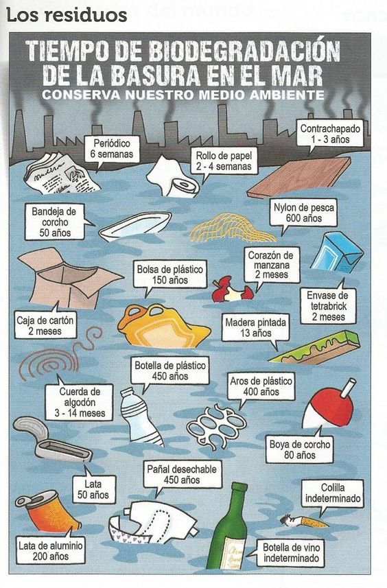Tiempo de biodegradación de la basura en el mar. (Infografía)
